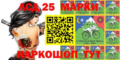 гашик Будённовск