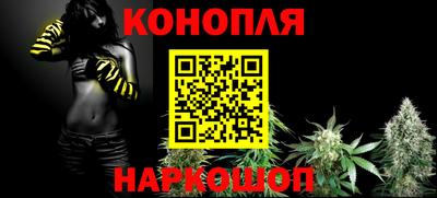 гашик Будённовск