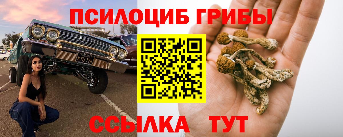 Галлюциногенные грибы мицелий Советская Гавань